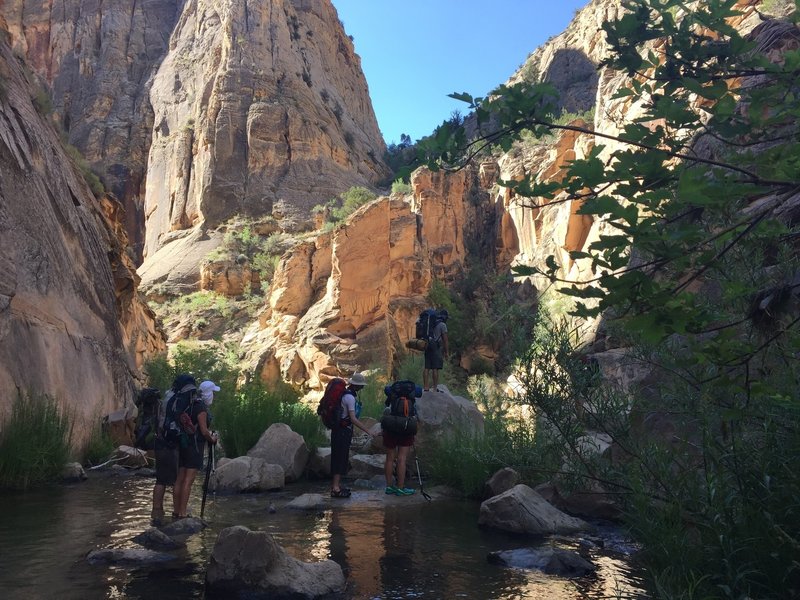 The group takes a break in a Lower Death Hollow bend.