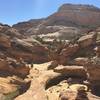 The group checks out the Tanks in Capitol Gorge.