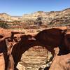 You've got to walk out over Cassidy Arch and see the view.