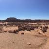 Goblin Valley is a unique and bizarre place.