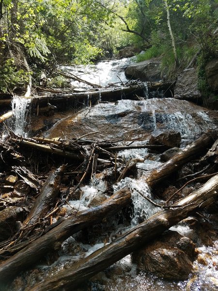 The bottom of St. Mary Falls is often full of debris.