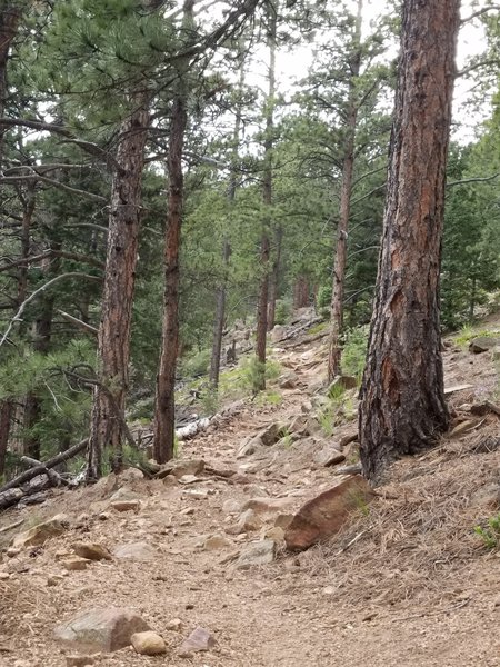 The St. Mary Falls Trail heads toward the summit of Mount Rosa. The terrain is rough and rocky, so be careful.