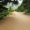 This is Gold Camp Road. Take the road from the parking lot to the tunnel, then take the feeder trail on the left to the trailhead.