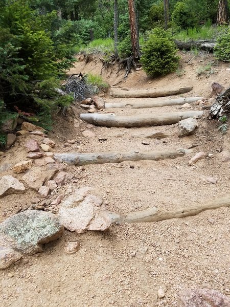 There are log steps on St. Mary Falls Trail (#624) to aid with the steeper grades.