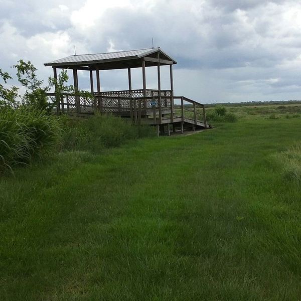 This overlook platform provides a great view of your grassy surroundings.