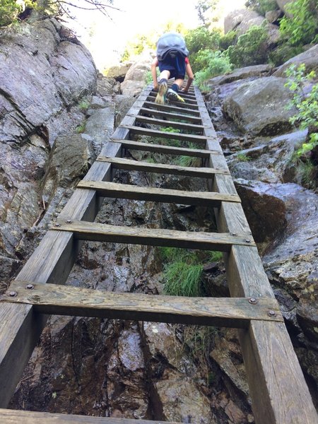 Use the ladder to scale the rock wall just before the summit of Crane Mountain.