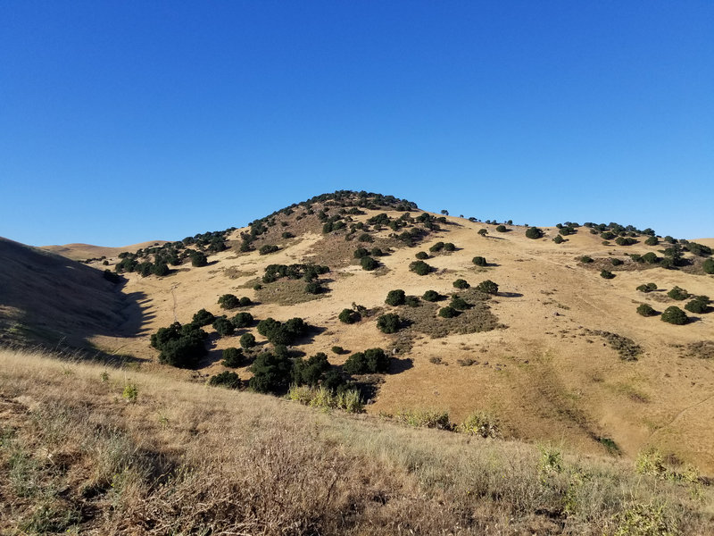 Brushy Peak is right nearby the West Side Loop Trail.