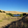 This is the main pond in Brushy Peak Regional Preserve.