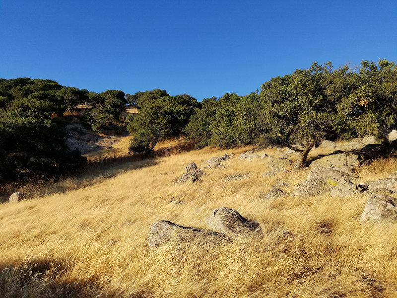 Brushy Peak is cast in a new light during sunset.