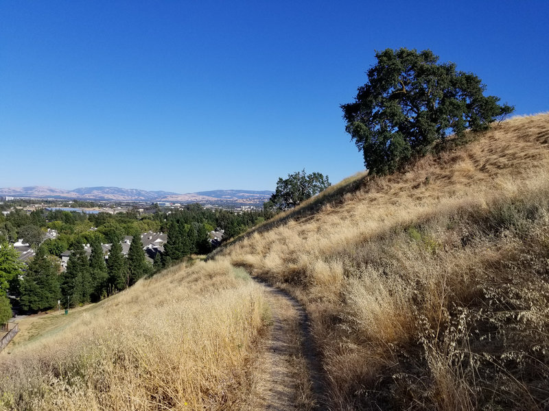 Magnificent views of East Dublin can be had from Dougherty Hills Open Space.