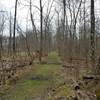 Early spring brings new grass to the Green Trail.