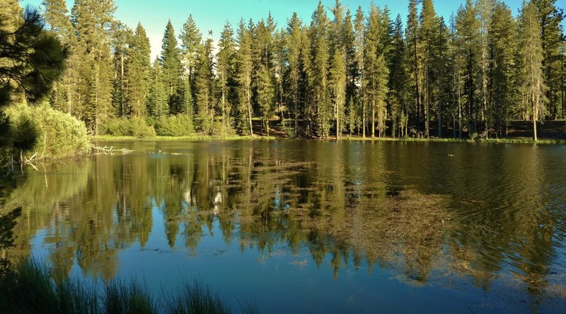 Reflection Lake is stunningly beautiful in the afternoon light.