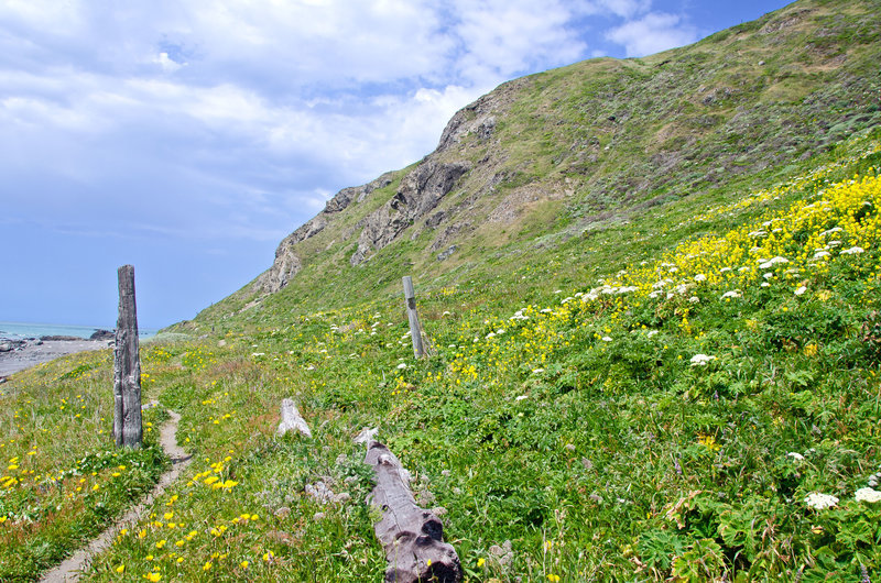 The Lost Coast Trail - Punta Gorda.