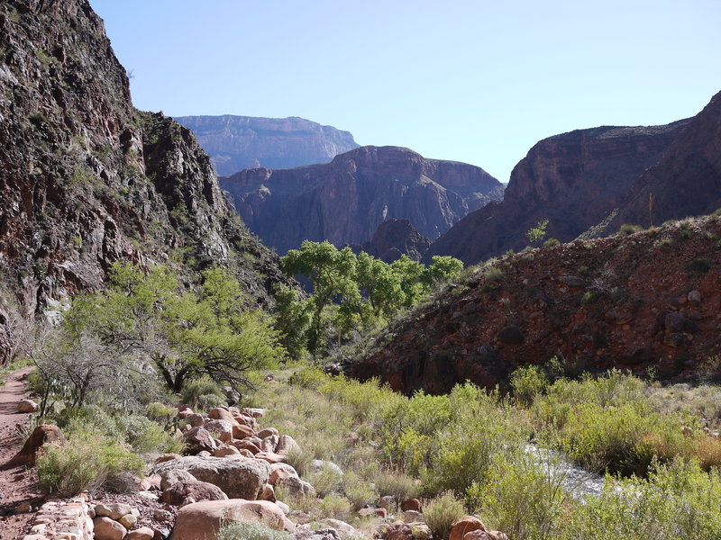 The North Kaibab Trail and Bright Angel Creek are verdant in the spring near Phantom Ranch.