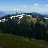 The Split Rock Trail enters open meadow with Shasta and McDonald Peak in the background.