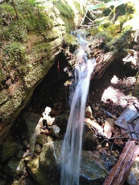 A small tributary cascades near its confluence with Humpback Creek.