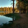 Manzanita Lake glimmers to the left of the Manzanita Lake Loop on a summer evening.