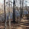 There's nice views through the otherwise dense foliage along the Gold Branch Loop.