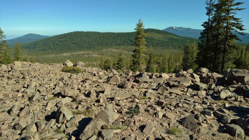 The densely forested upper Table Mountain is contrasted by the rocky, sparsely forested lower areas, as seen from the rocky Chaos Jumbles. A rock avalanche from Chaos Crags left rocks all the way to lower Table Mountain.