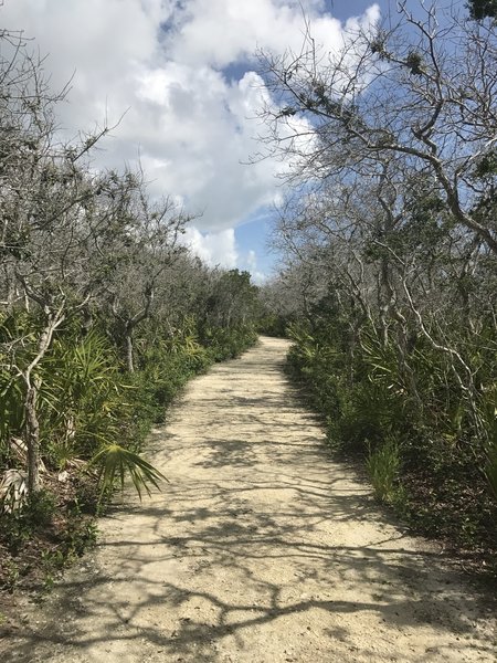 Fort Matanzas Overlook Trail offers a manicured tread and pleasant marsh views.