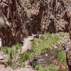 Red canyon walls tower on both sides as you travel along the narrow trail.