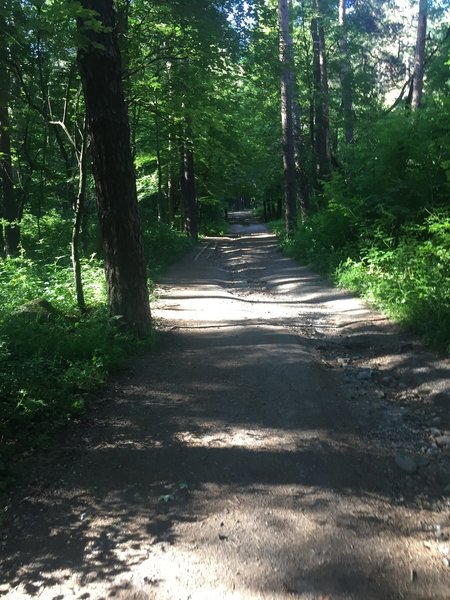 Trail from Knyazhevo.