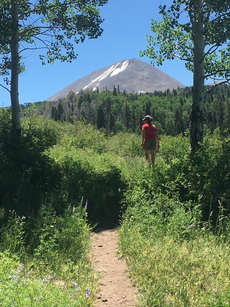 Enjoy great views on Clark Lake Loop.