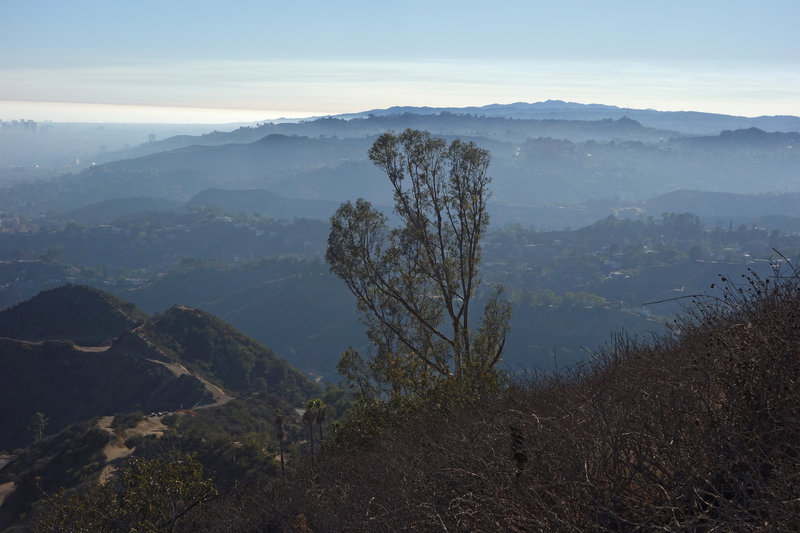 The Los Angeles Foothills get lost in the late-afternoon haze.