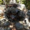 A Wright Cyclone R1820 Radial Engine (or what's left anyway) stands in remembrance of the flight crew who perished on this rocky mountainside.