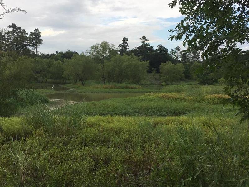 A pretty little reservoir between Cypresswood and Grant!