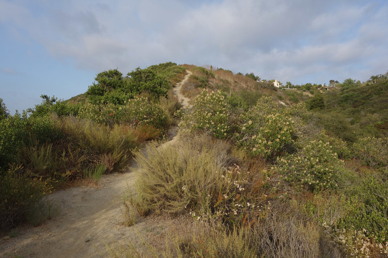 This is the steepest section of the trail.