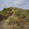 This is the steepest section of the trail.
