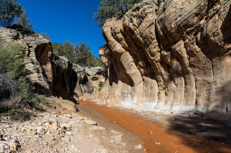 You'll enter the narrows shortly after descending to the wash.