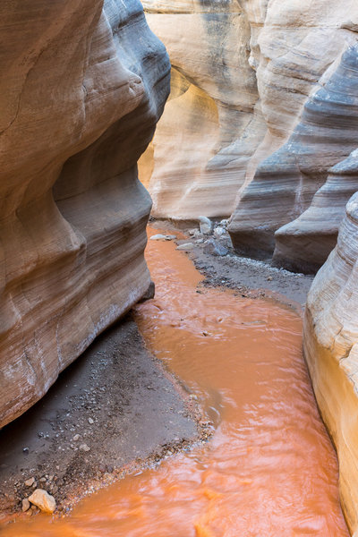 This is the seasonal flow in Willis Creek in early May.