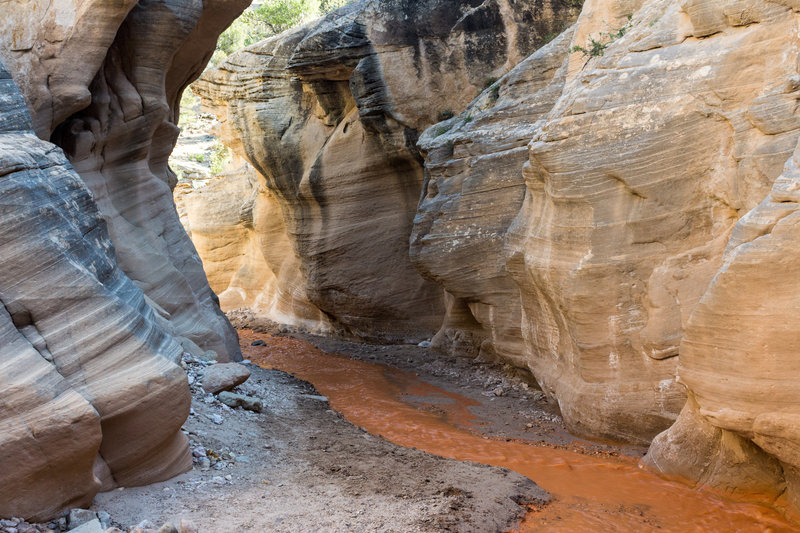 Willis Creek Narrows provides a landscape you just don't see every day.