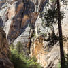 This is a view of Willis Creek before it joins Sheep Creek.