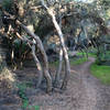 The tunnels area feels like hobbit land.