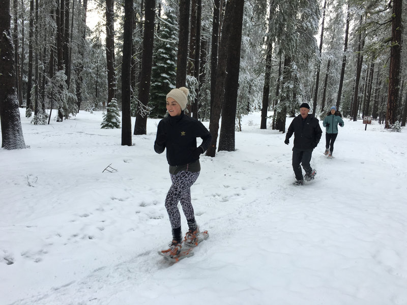 Donner Memorial State Park is open for snowshoe running in the winter