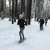 Donner Memorial State Park is open for snowshoe running in the winter