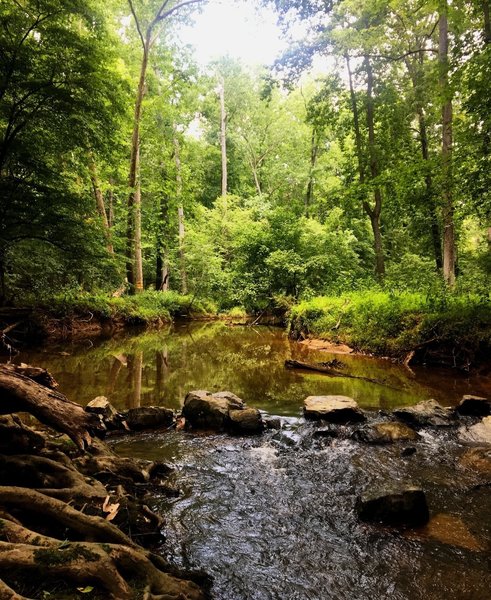 The crossing at Buckquarter Creek is quite scenic.