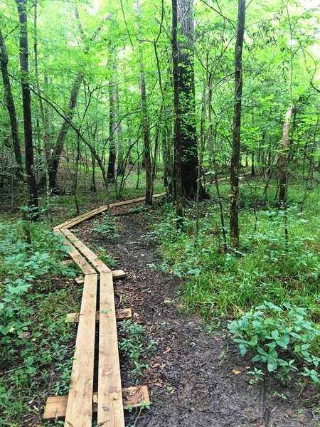 This swampy lowland crossing is made easier with a wooden boardwalk.