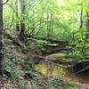 A stream carves through a hill along the Hidden Hill Trail.