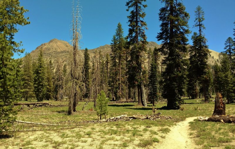 Chaos Crags can be easily seen from the Manzanita Creek Trail.