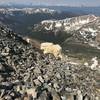 Mountain goat near top of Grays.