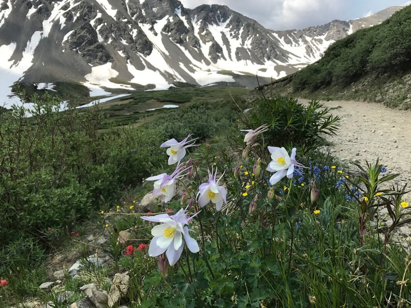 On the trail up to Grays Peak.