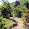 Sections of the Rhododendron Trail are quite beautiful when the shrubs are in bloom.