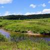 You'll have to navigate this stream crossing on the Dobbin Grade Trail. It is perhaps easiest to ditch your shoes and wade across this shallow stream.