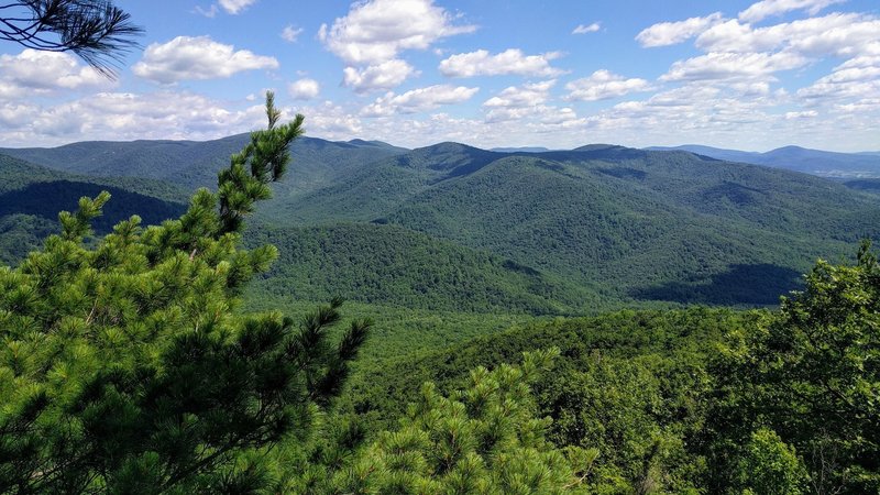 This is just a taste of what's to come while scrambling to the summit of Old Rag Mountain.