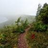 Escarpment trail in fog, with Lake Superior at right, Lake of the Clouds at left.