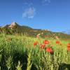 Looking at Green Mountain with its Flatirons.